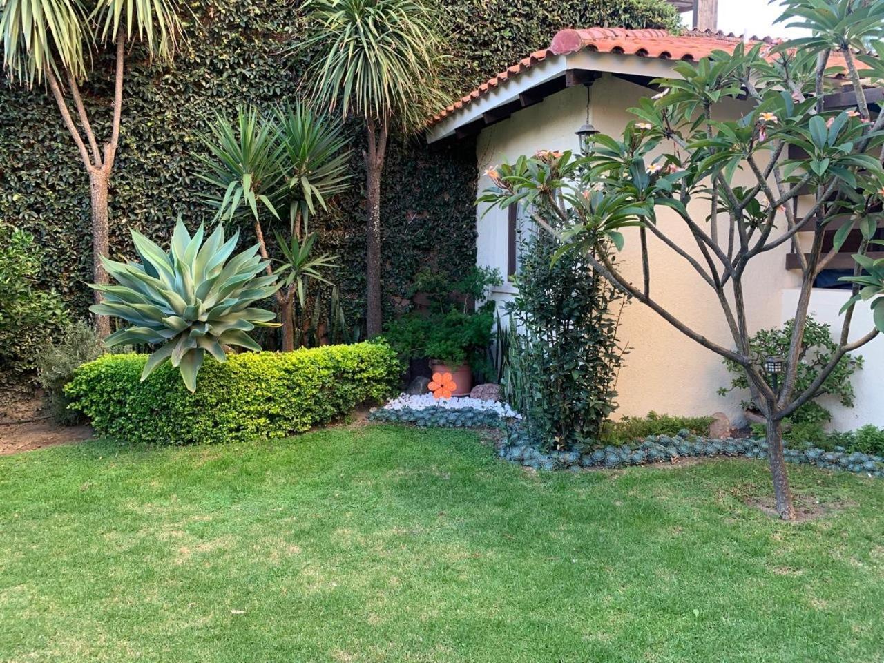 Apartamento Con Jardin Cochabamba Eksteriør billede