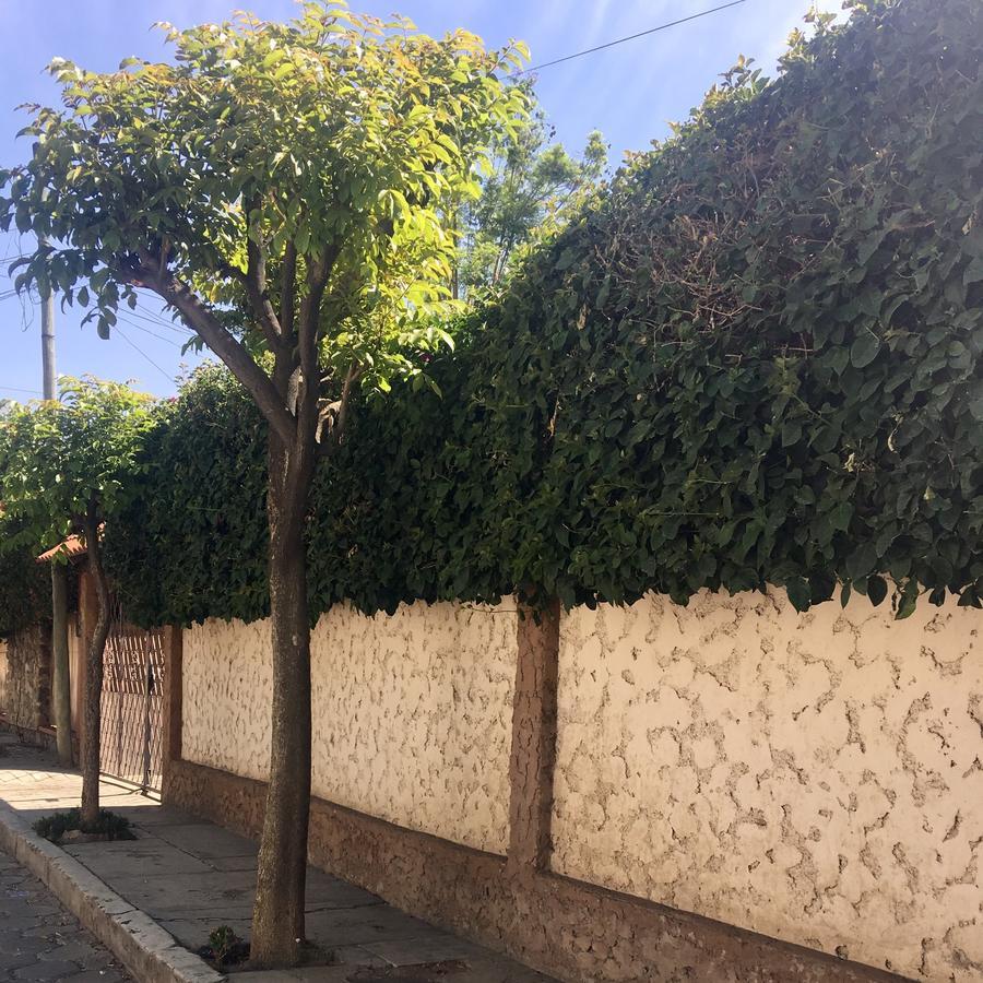 Apartamento Con Jardin Cochabamba Eksteriør billede